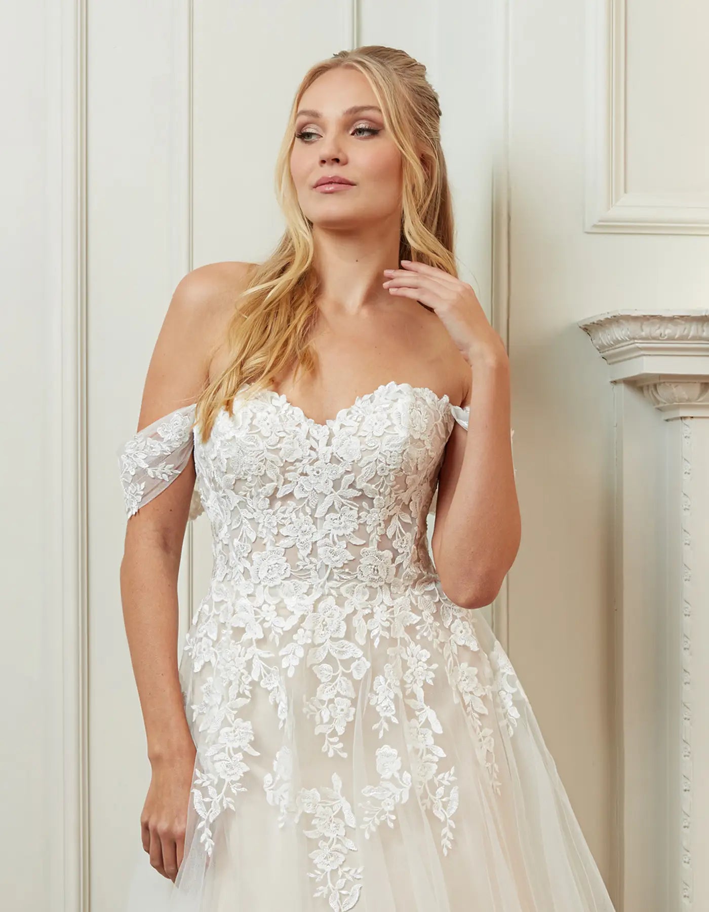 AerbaDress a soft tulle a-line with a strapless semi-sheer bodice