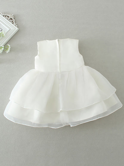 AERBA DRESS Wedding Flower Girl Dress Baby Girl 1 Year Christening Gift Dress Newborn Sleeveless Cute Princess Dress