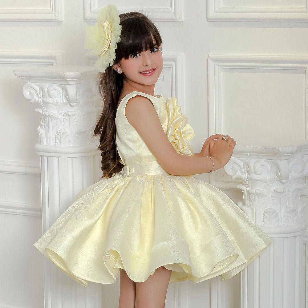 AERBA DRESS Wedding Flower Girl Dress Satin Round Neck Knee Length Kids Birthday Party First Communion Ball Gown