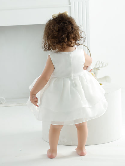 AERBA DRESS Wedding Flower Girl Dress Baby Girl 1 Year Christening Gift Dress Newborn Sleeveless Cute Princess Dress