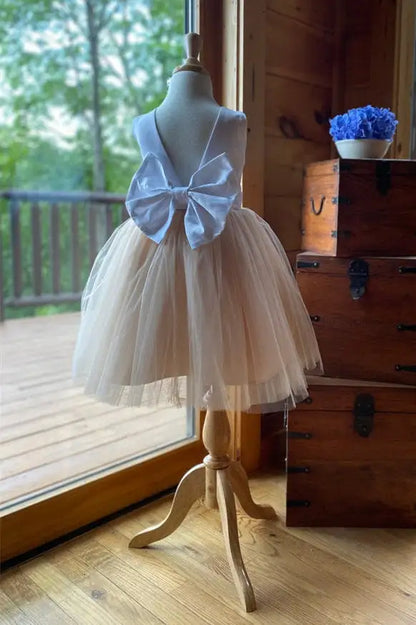 Wedding Flower Girl Dress A Line Round Neck Sleeveless Cute with Bow Girl Communion Formal Dress Princess Dress